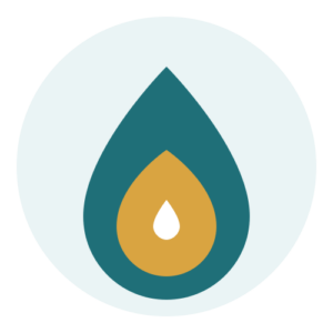 Wellspring for Good logo